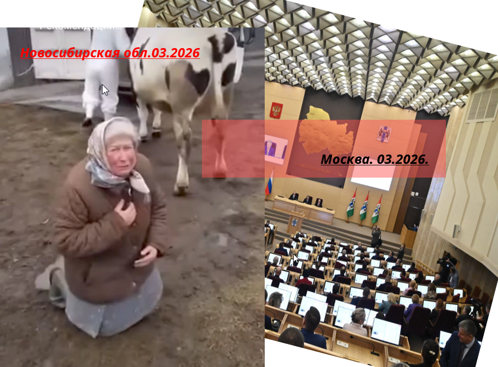 Мать стоит на коленях от беспомощности и кричит - "Она же здоровая!!!". Здоровую кобылу уводят на усыпление (еще непонятно чем усыпляют), потом на сожжение.