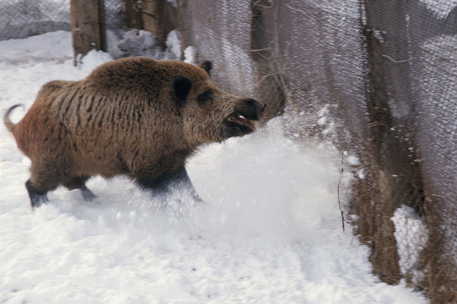    © Валерий Морев/ТАСС