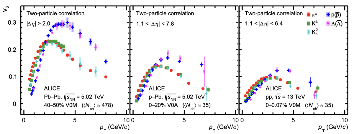   The ALICE Collaboration / Nature Communications, 2026