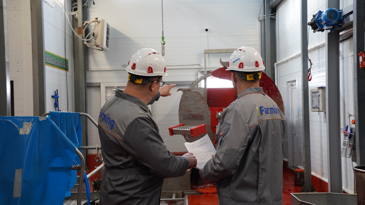 *Реализованный проект