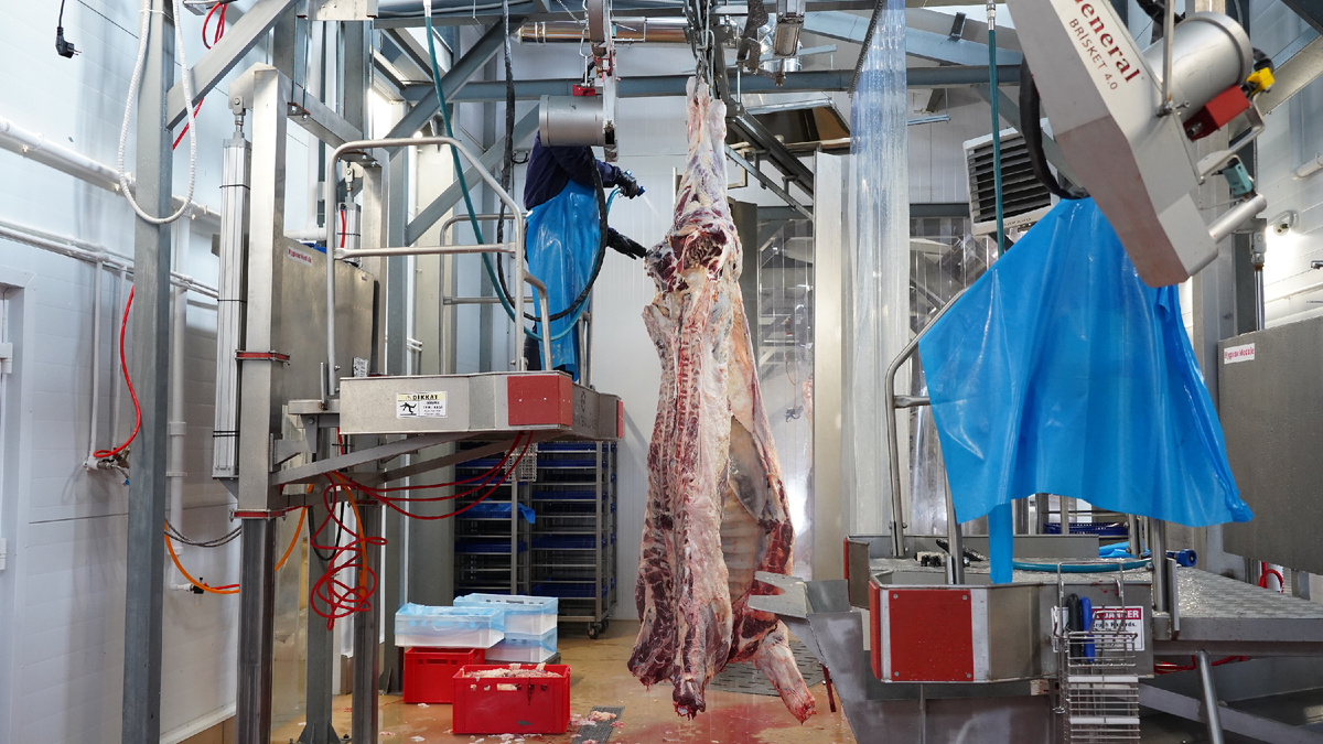 *Реализованный проект