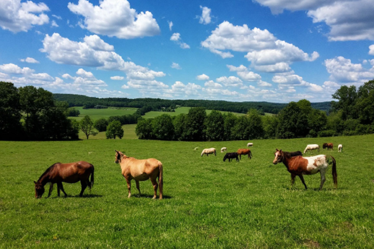    Фото: коллаж RuNews24.ru