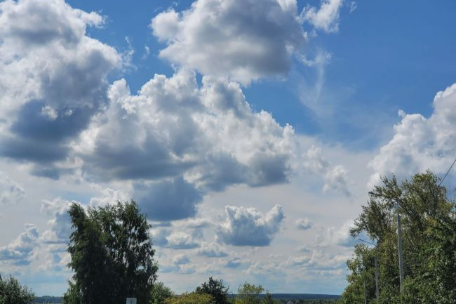 Фото: ИА "Регион71"