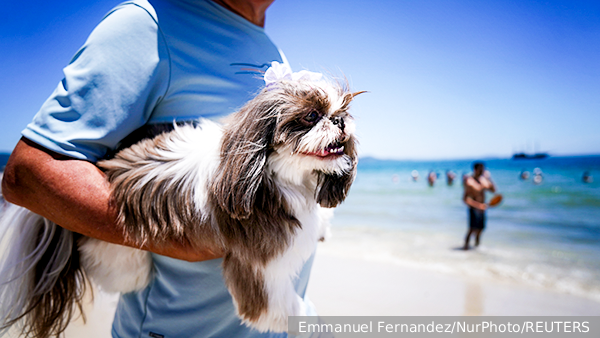     Фото: Middle East Images/Reuters   
 Текст: Ольга Иванова