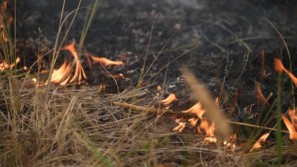За сутки в Ростовской области потушили шесть ландшафтных пожаров