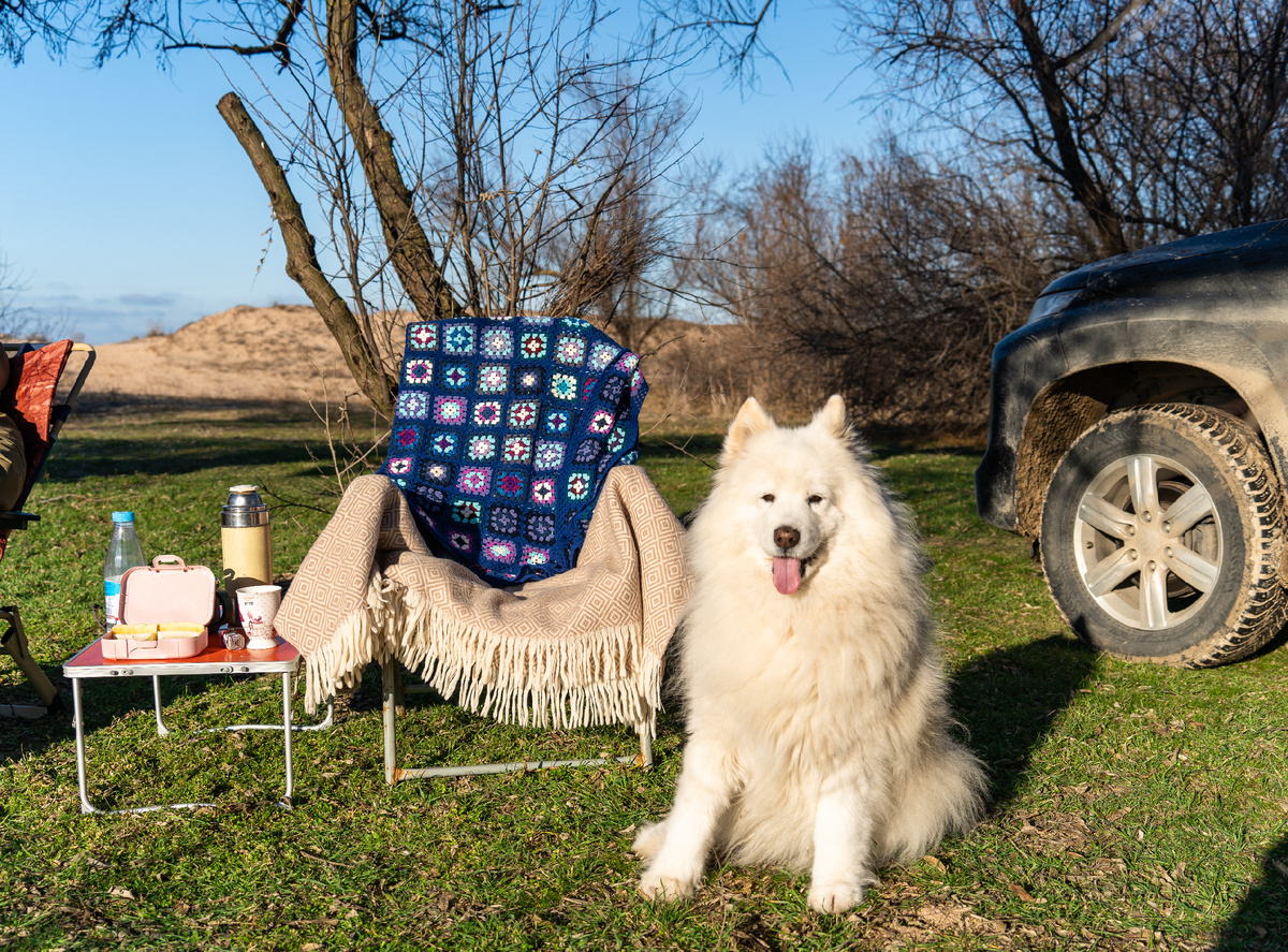 Фото сделано в феврале, этой зимой