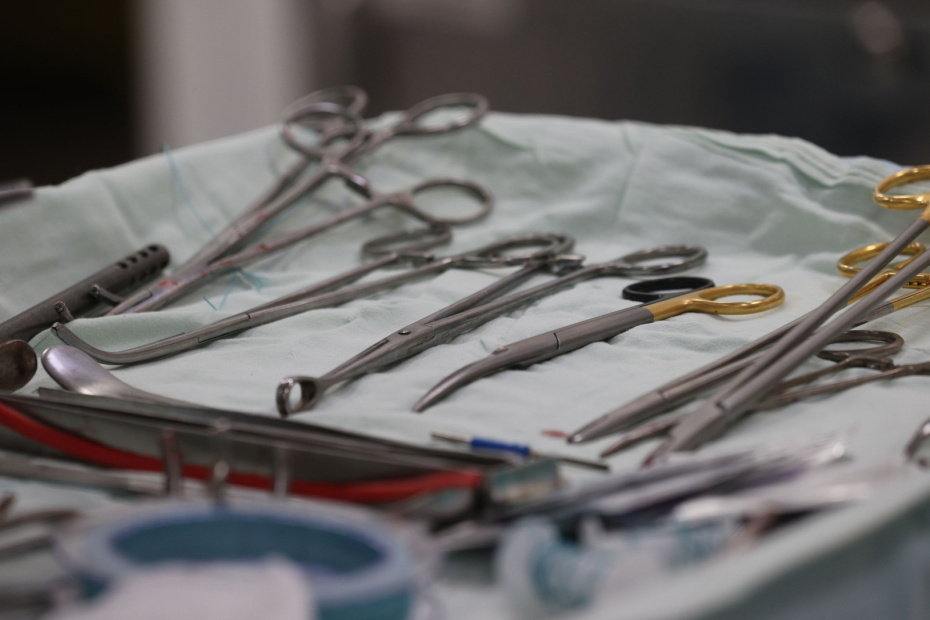    Алексей Белкин/NEWS.ru