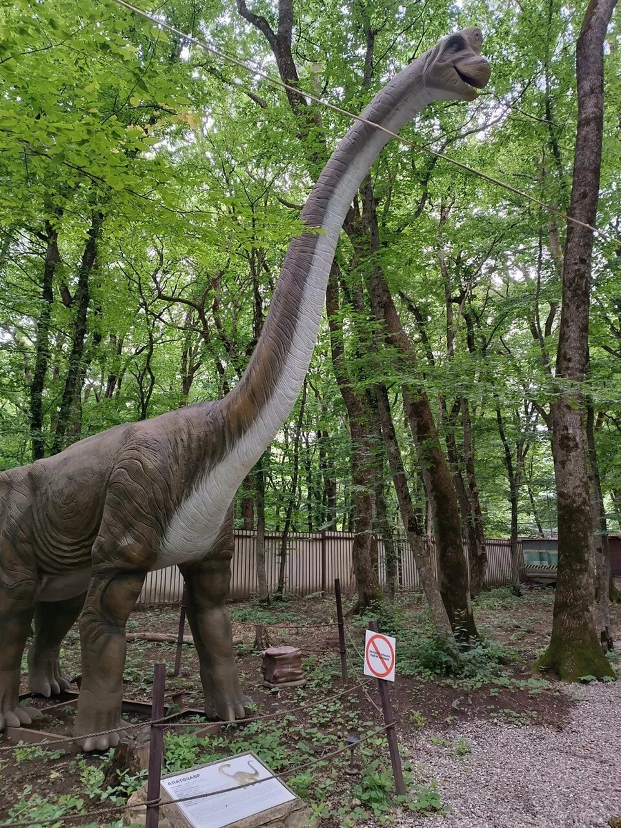 Фигуры создавали гонконгские мастера, которые работали над фильмом «Парк Юрского периода». Фото: Ксения Каракашьян / Яндекс Карты