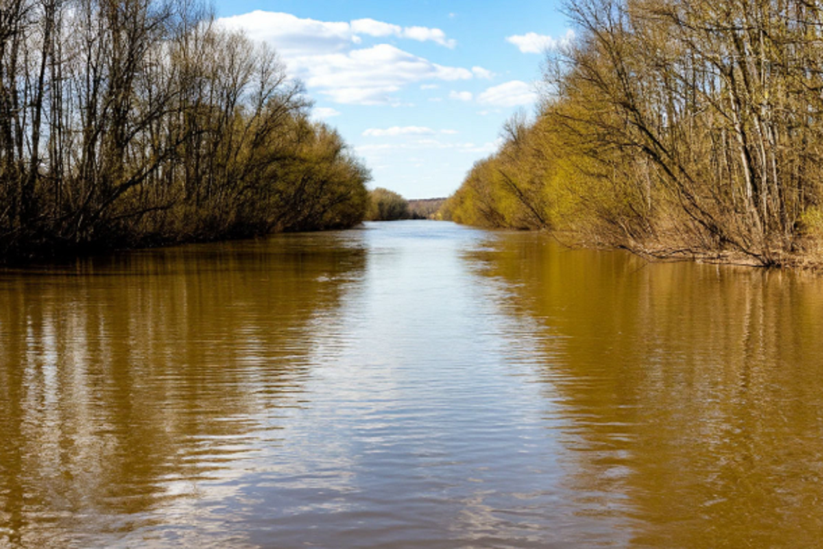    Фото: коллаж RuNews24.ru