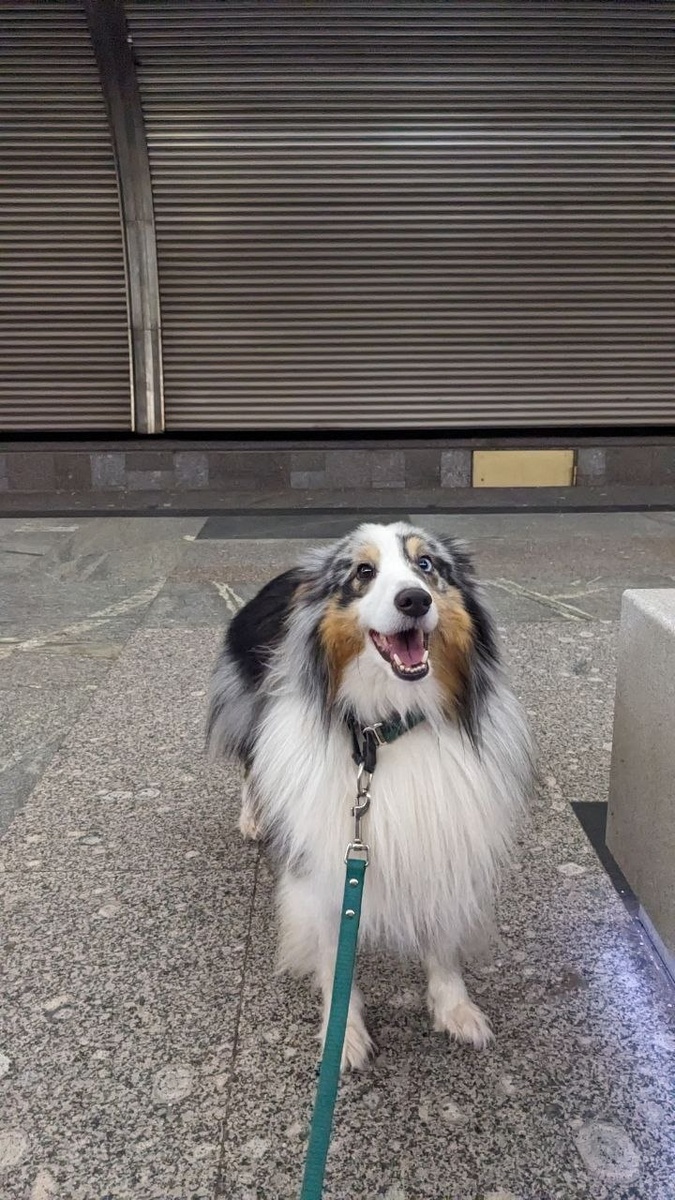 и как на него обижаться ? Миленький! 