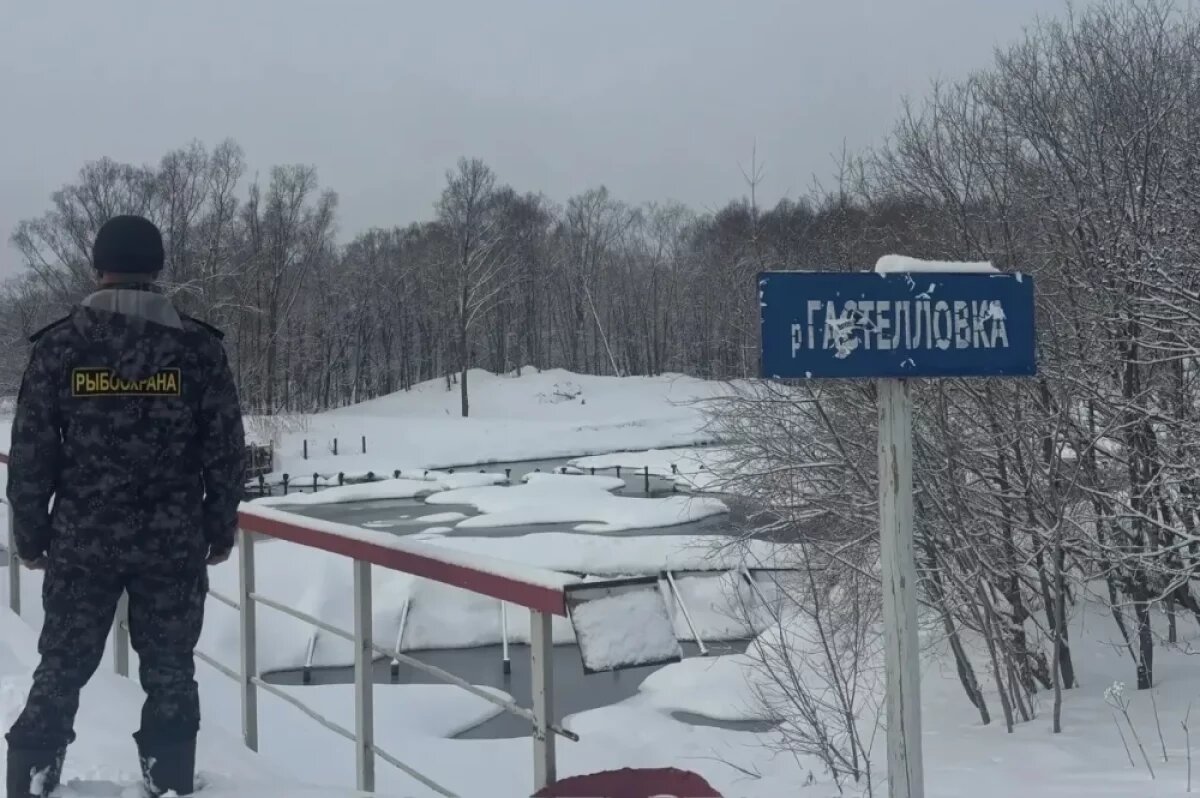    На Сахалине за неделю выявили 36 нарушений правил рыболовства