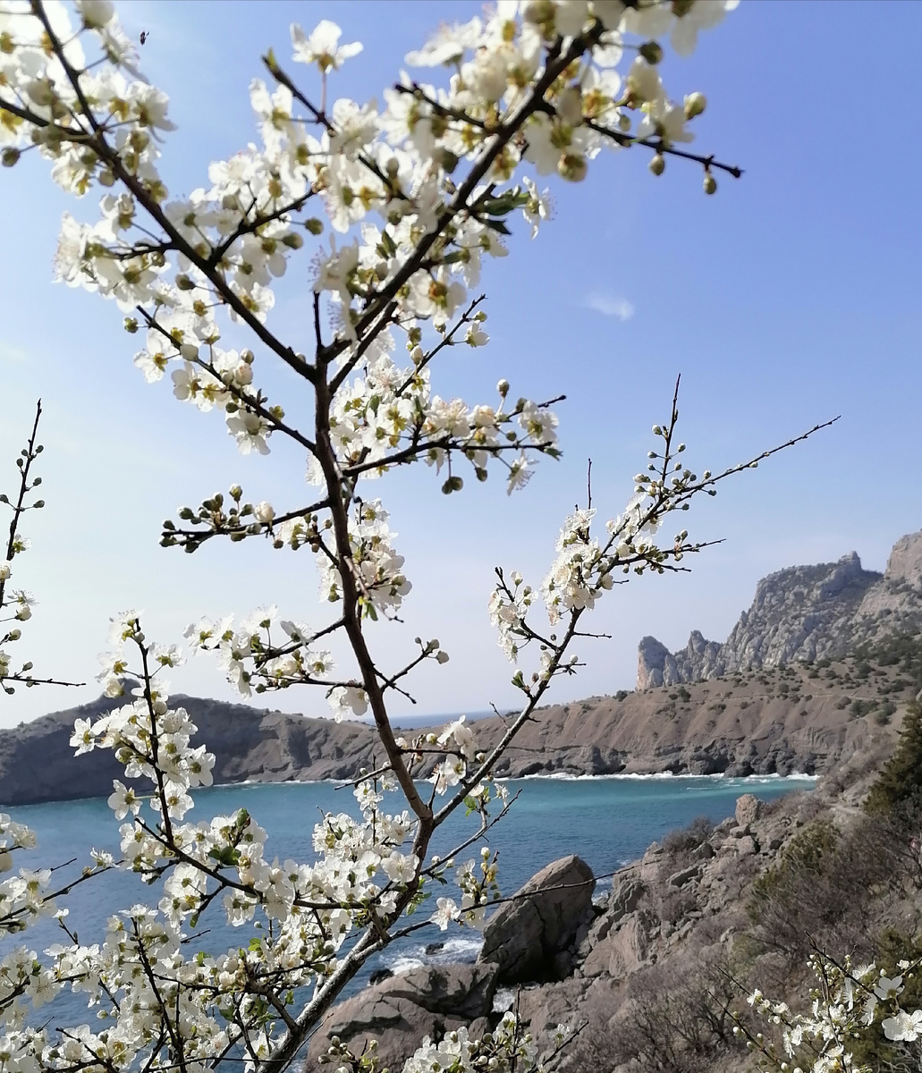 Исцеление души происходит поэтапно по мере углубления в себя и проработки застрявшей в нас душевной боли