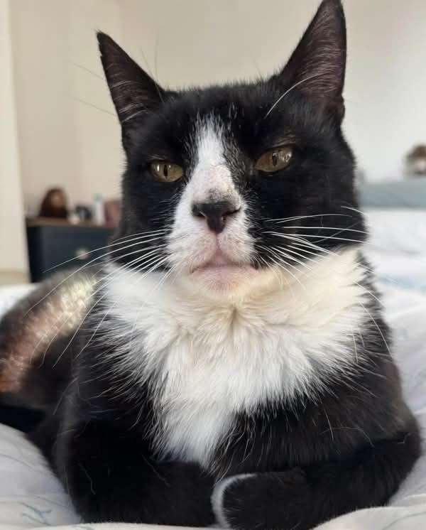 иллюстрации из яндекс картинки.