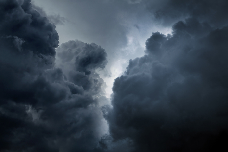    Shutterstock/FOTODOM