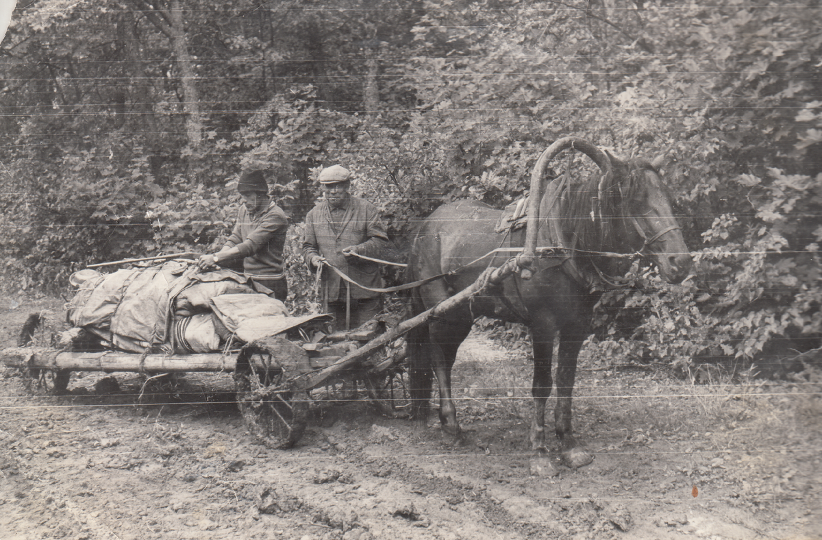 Ветеран Великой Отечественной войны, Байрамгулов Габдульмин Хуснуллович с внуком Ириком

 