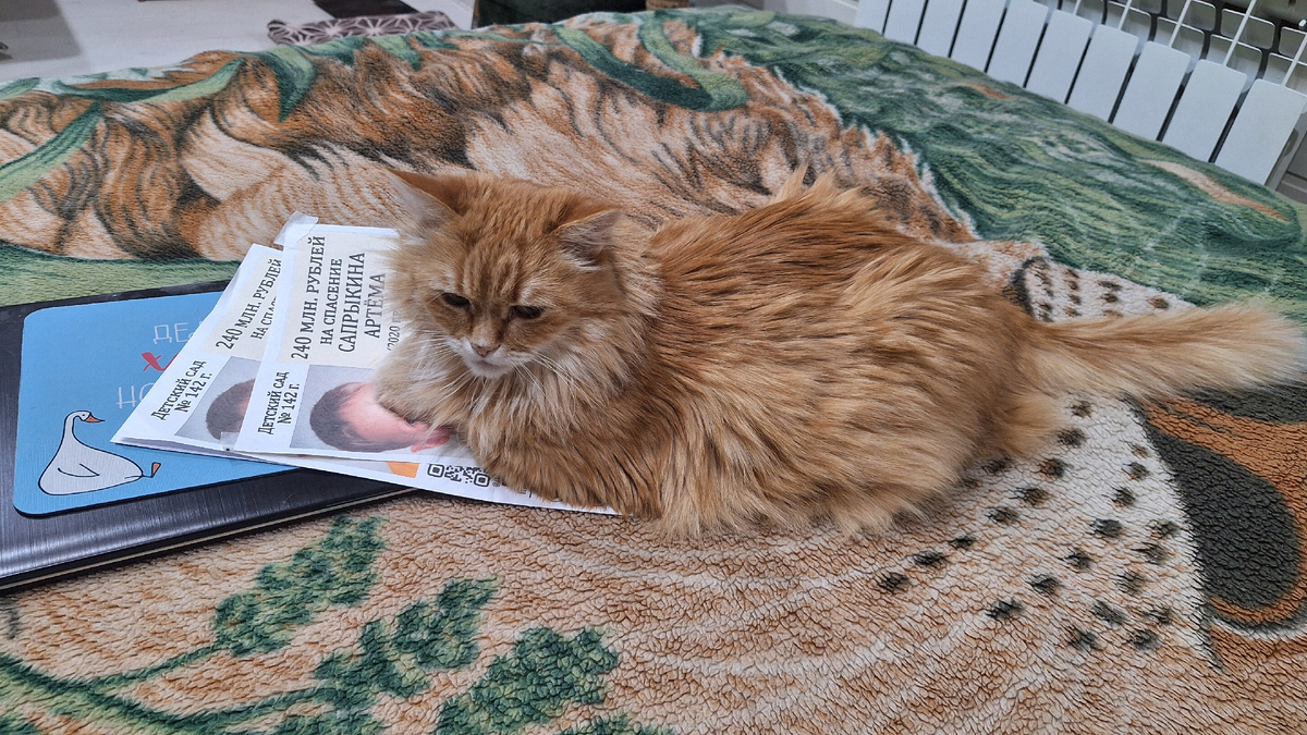 Фото автора. 