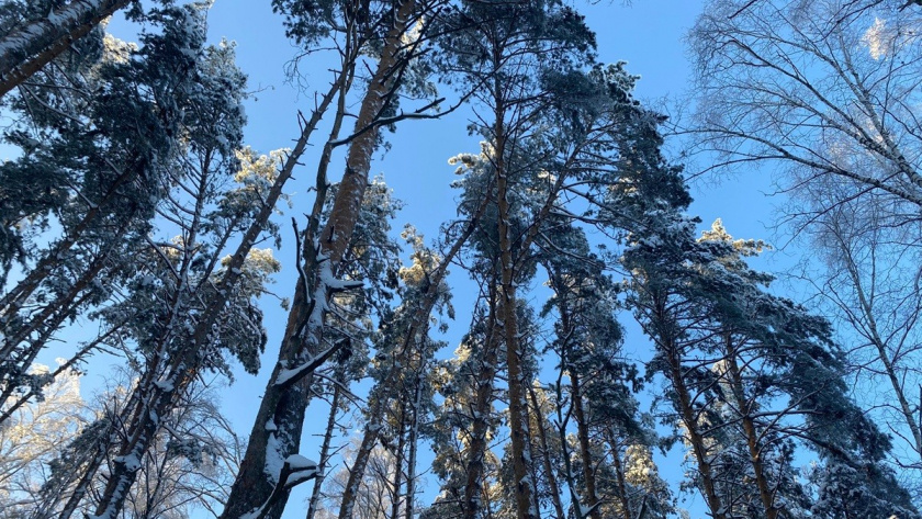    Фото: архив редакции