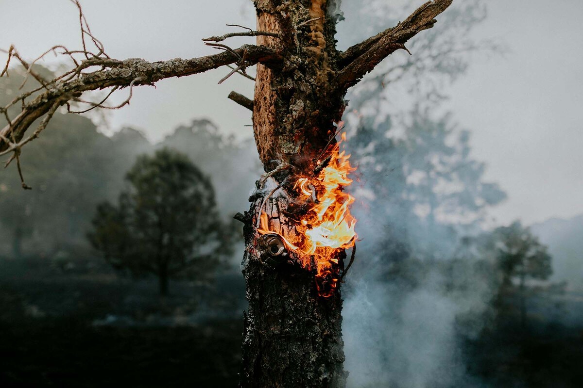  © José Luis Photographer, Pexels.com