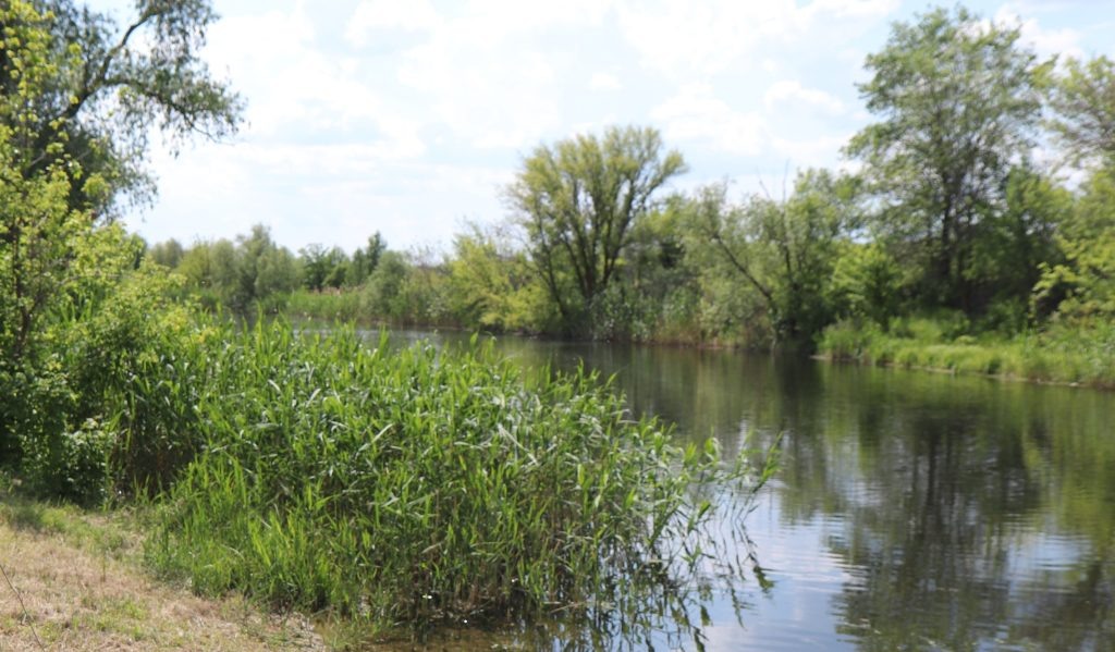    Фото из архива "РВ" Василий Шеин