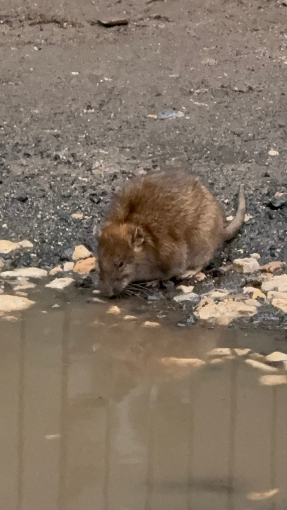Фото: Подслушано Владимир