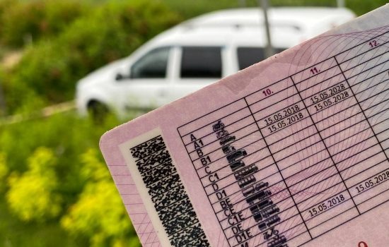    Фото: ИА "Орелград" / Светлана Числова