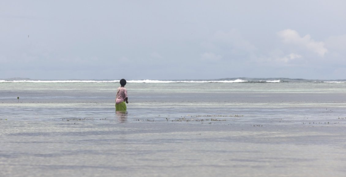    Фото: ©Себастьян Веласкес