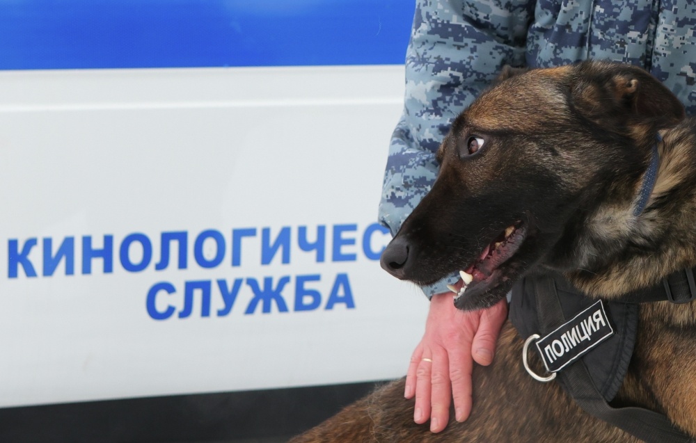    Фото: Антон Вергун / РИА Новости