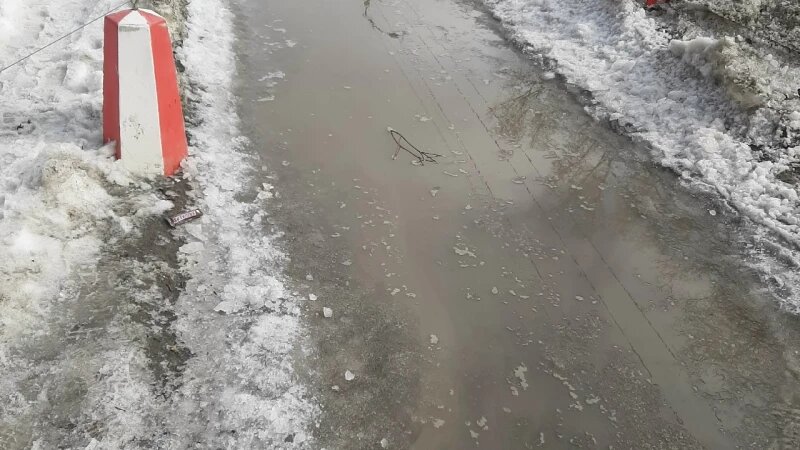     Лужа-тротуар. Лариса Васильева