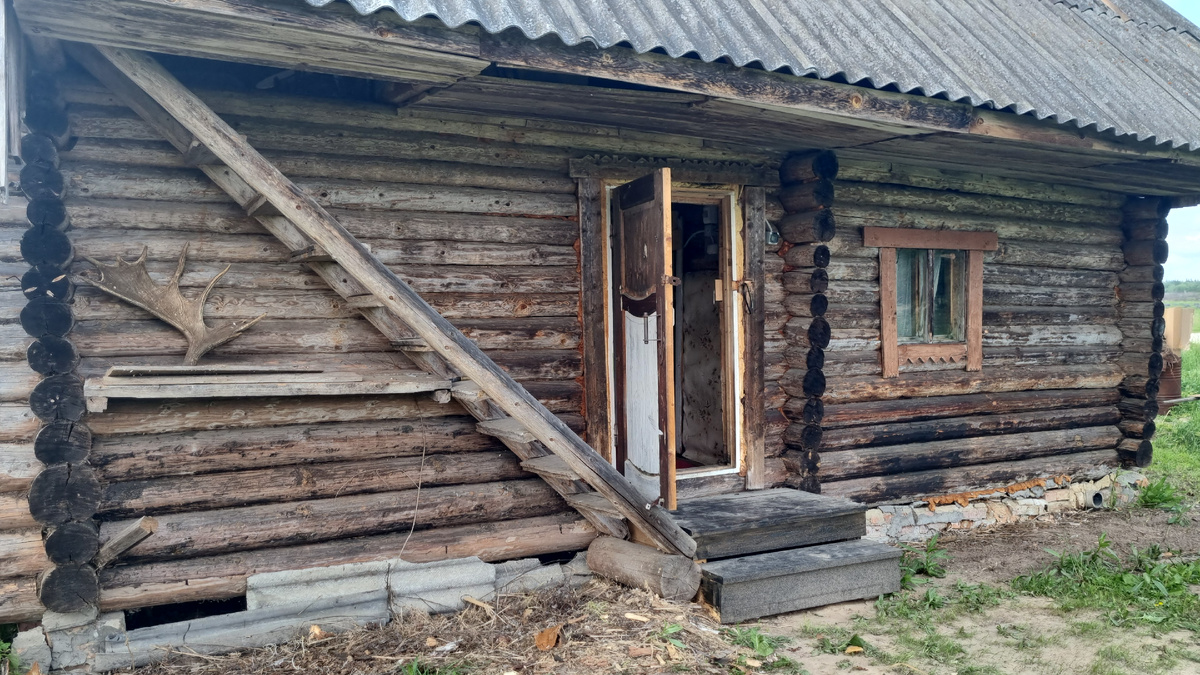 Баня как феникс восстала из груды мусора и металлолома. Дочка конопатила швы.