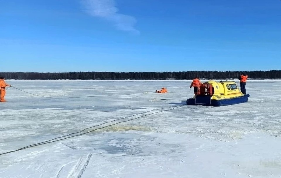    Фото: пресс-служба администрации Костромской области