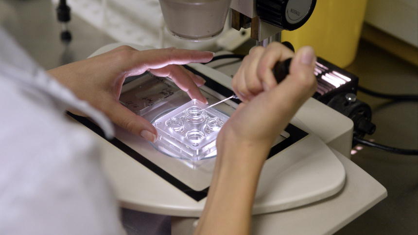    Фото: © РИА Новости/Михаил Воскресенский