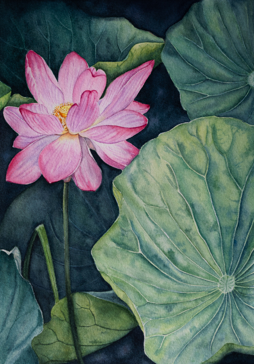 Тот самый лотос