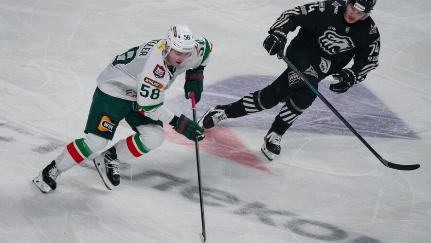    Фото: официальный сайт ХК "Ак Барс"