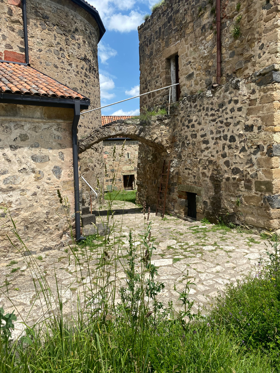 Древний город Дманиси