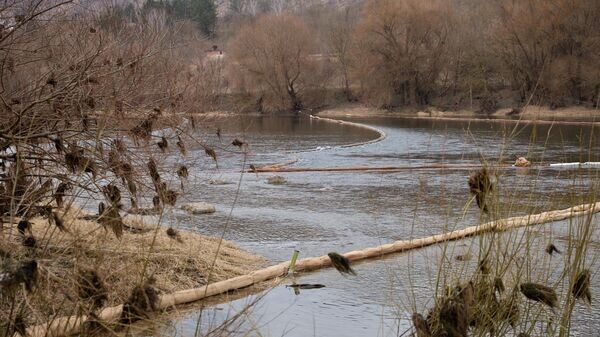    © Sputnik / Osmatesco