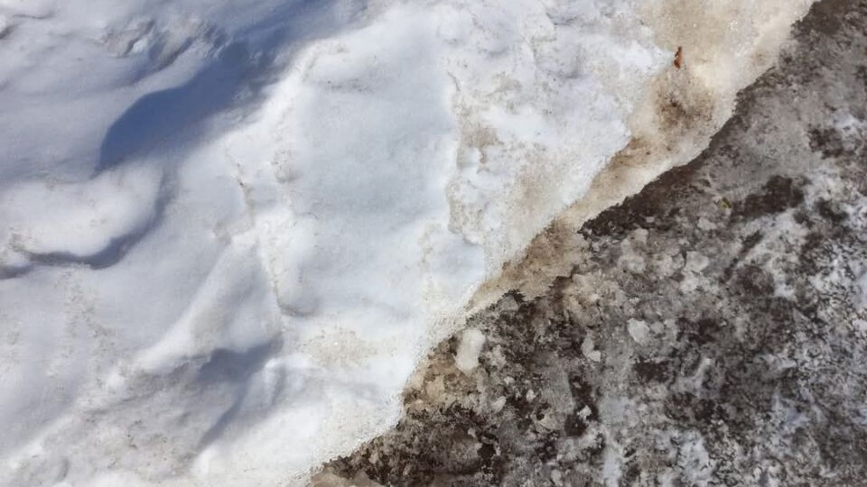 Я вдруг осталась одна, без денег, без связи, в чужом городе...