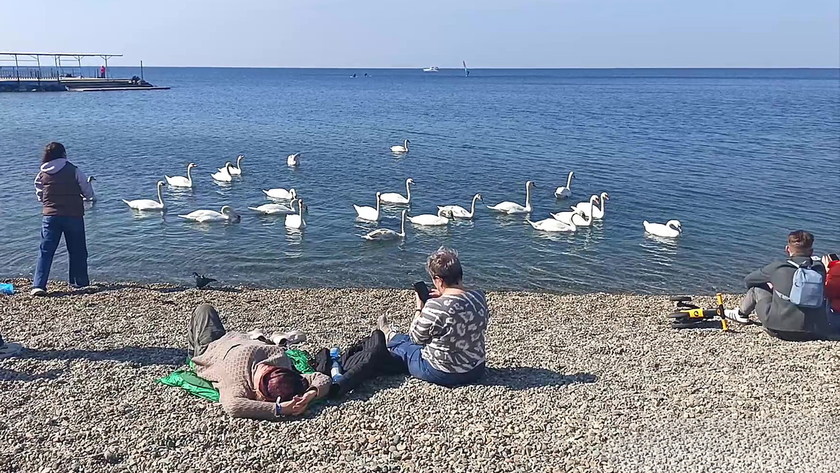 Анапа, пляж Высокий берег