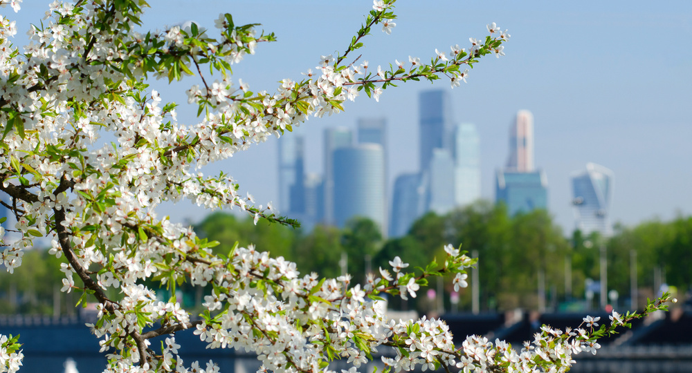 Маршрут на майские: как увидеть максимум за 3 дня в Москве