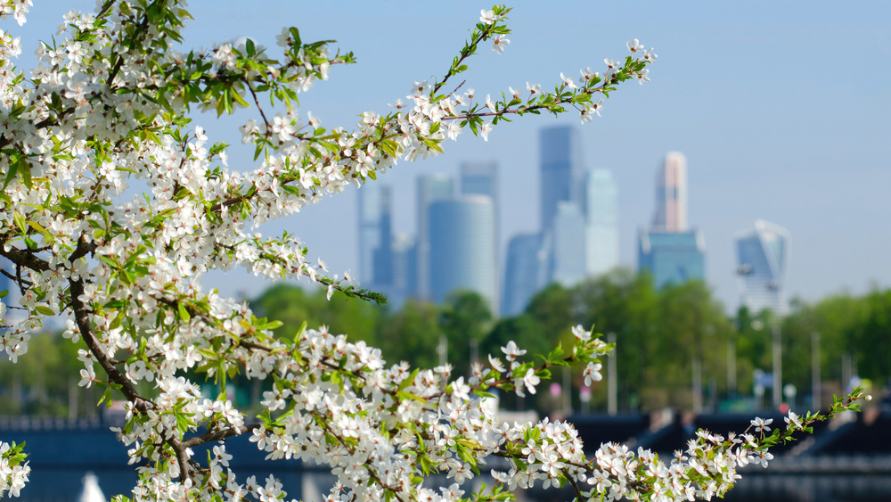 Сделайте свой отдых максимально разнообразным | Пешая Москва