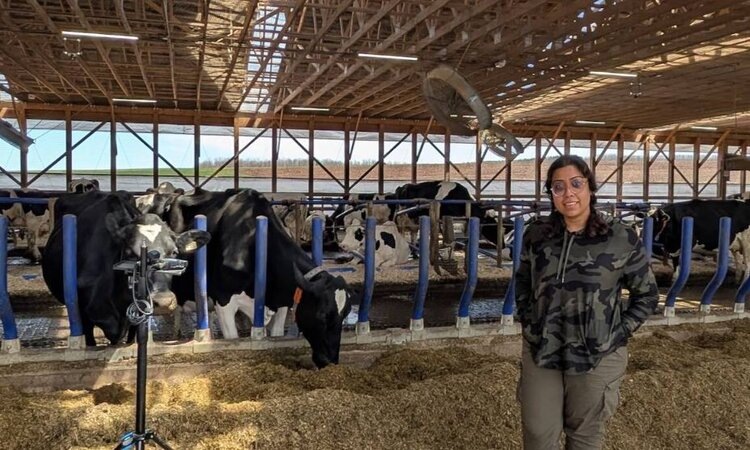    Фото: Suresh Neethirajan, Dalhousie University