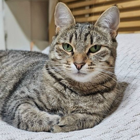 "Парад" участников #найдидруга_28марта продолжается