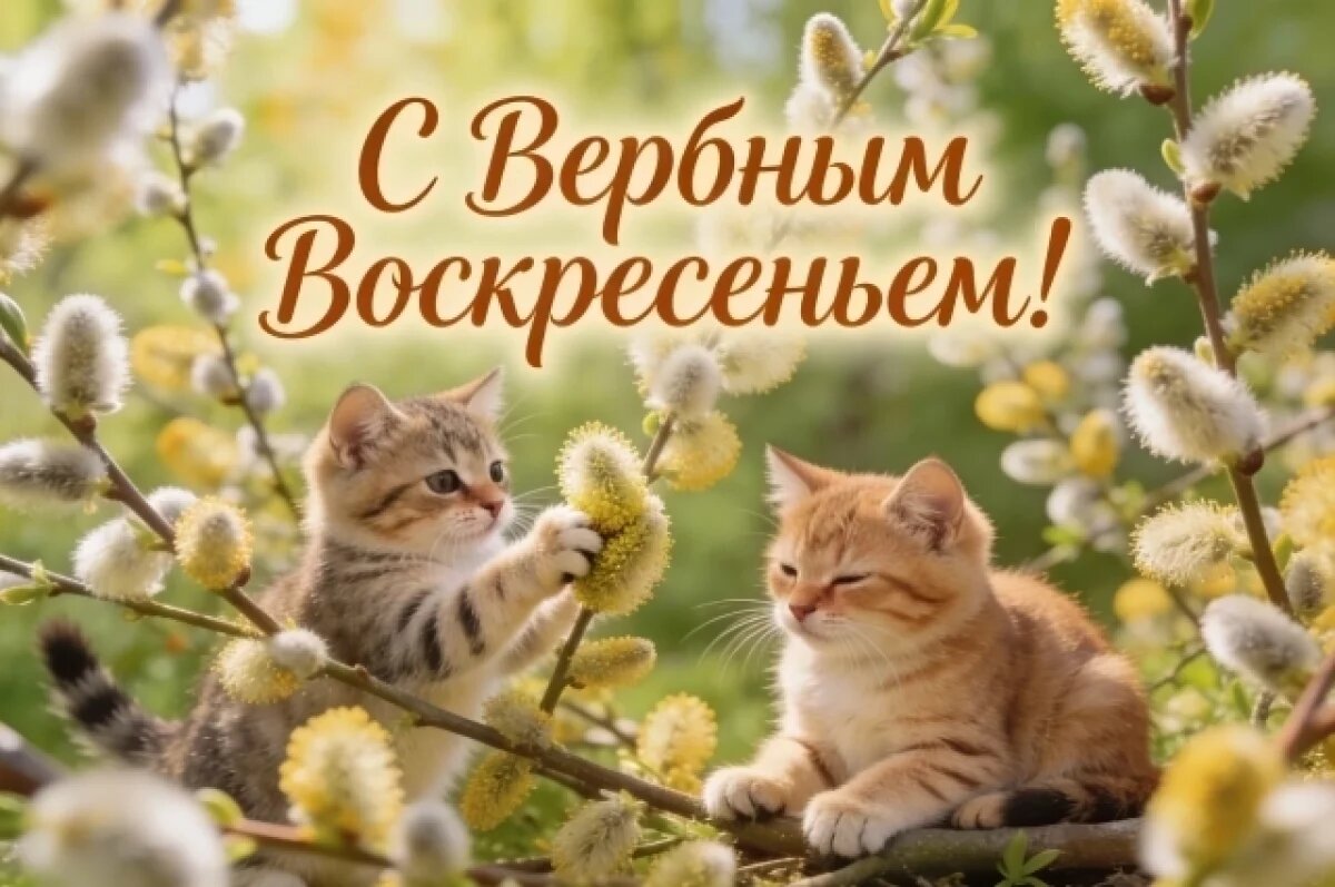    Отправьте близким!