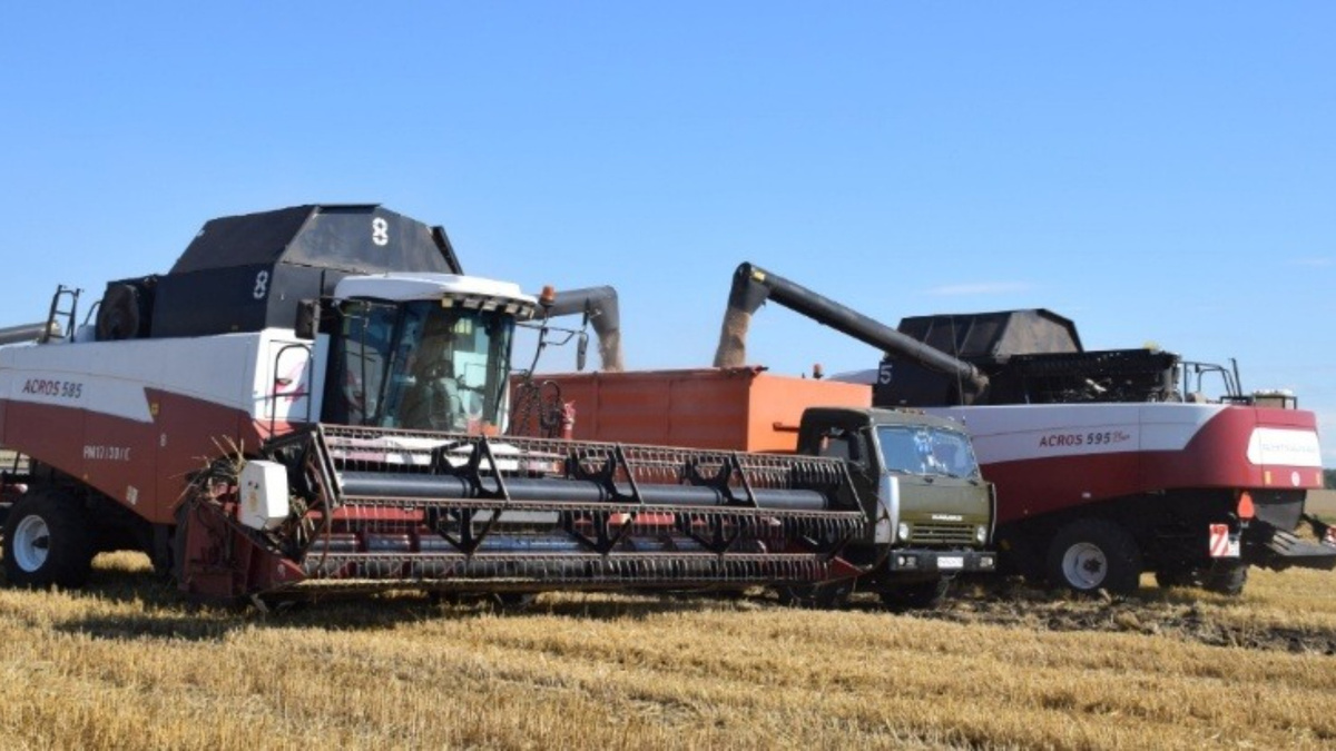 фото: минсельхозпрод РТ