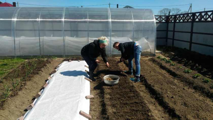    Первый городской канал Калининград