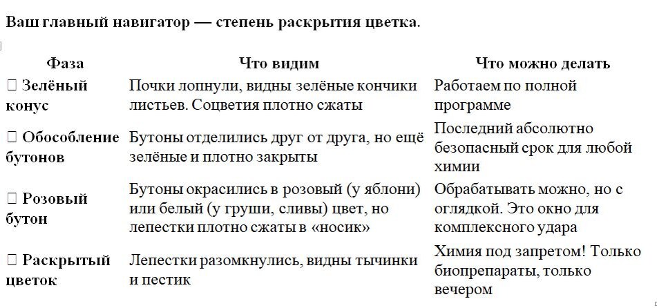 Таблица и фото Натальи Мироновой