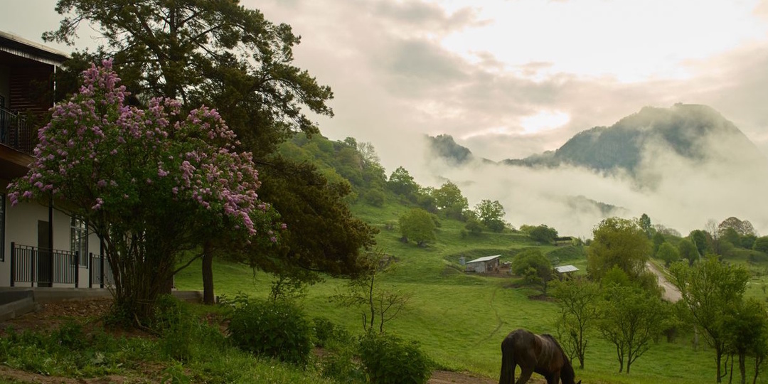 Маринское ущелье — что за место, которого нет на карте Кавказа