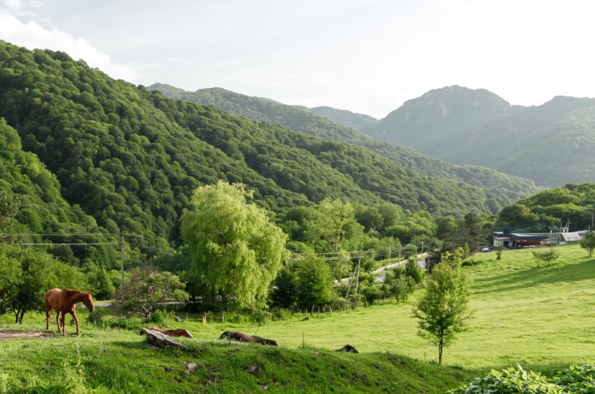 Дорога через Маринское ущелье является самым коротким маршрутом между Кавказскими Минеральными Водами и популярными курортами «Архыз» и «Домбай».