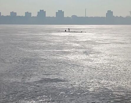     Фото: принтскрин с видео