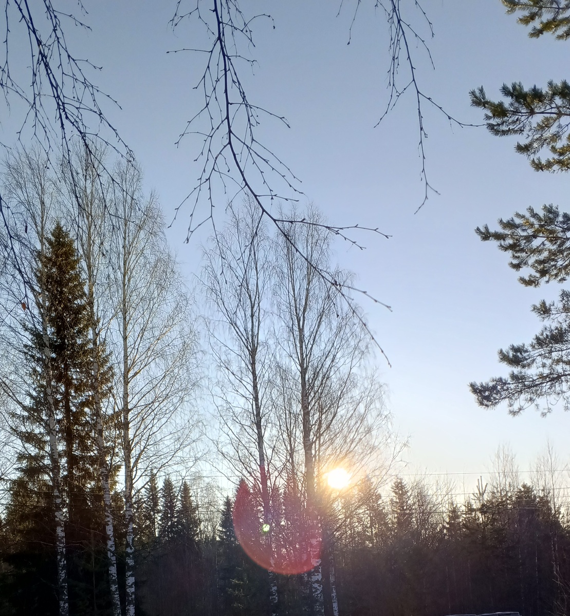 фото автора: так в лесном поселке начинается утро