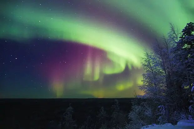    Источник: lenta.ru/ София Васильева